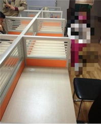 計(jì)算機(jī)及辦公設(shè)備維修指南 從隔斷辦公桌到電腦的全面維護(hù)